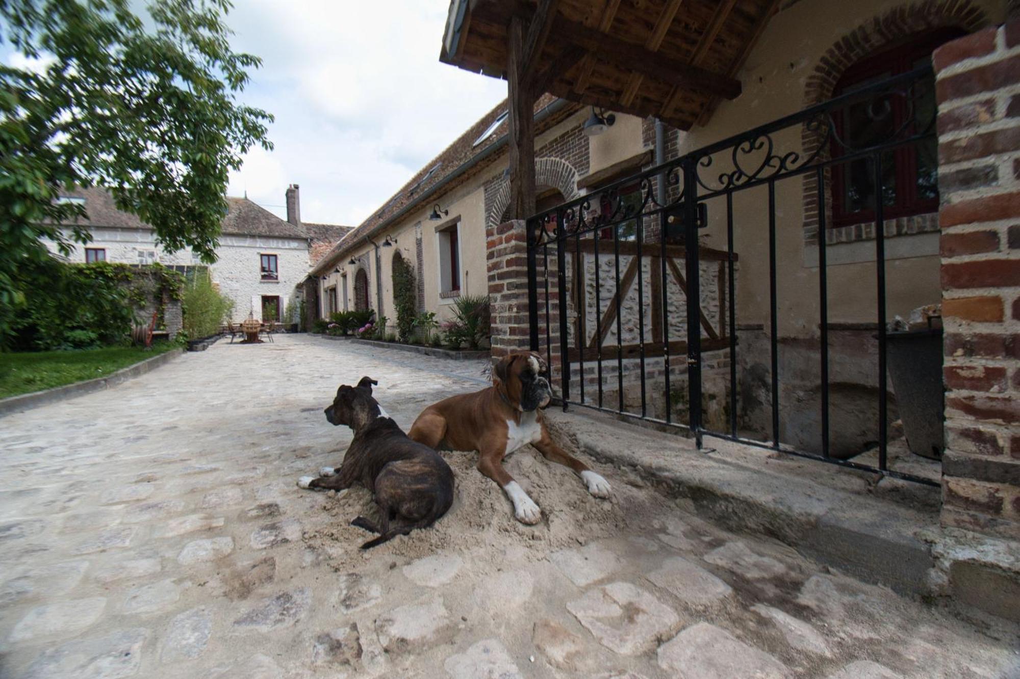 Le Relais Des Caleches - La Chaleureuse Bed and Breakfast Bu (Eure-et-Loir) Exterior foto